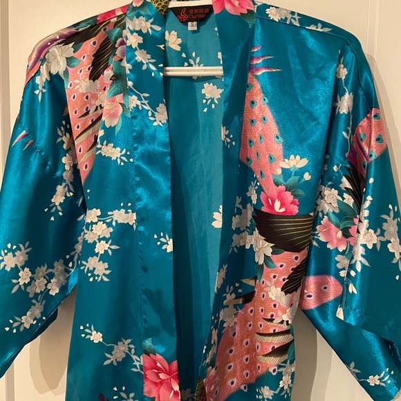Dynasty Robe - Picture 4 of 5